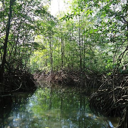 Hotel Veragua River House Sierpe 外观 照片