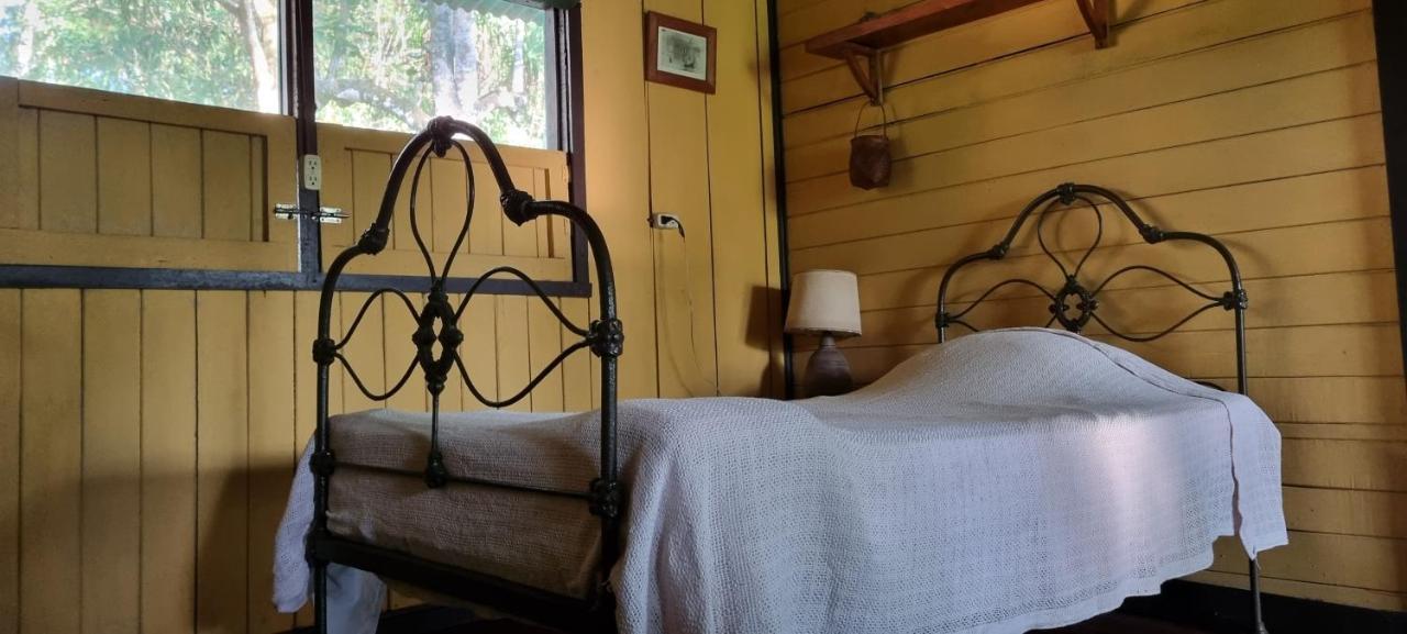 Hotel Veragua River House Sierpe 外观 照片
