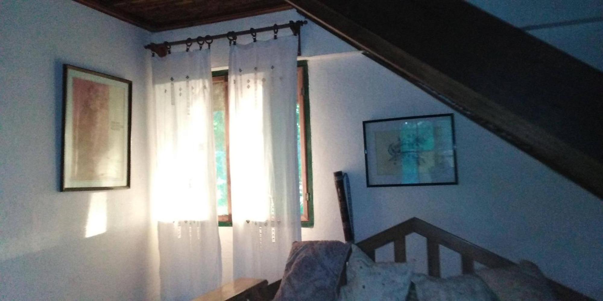 Hotel Veragua River House Sierpe 外观 照片