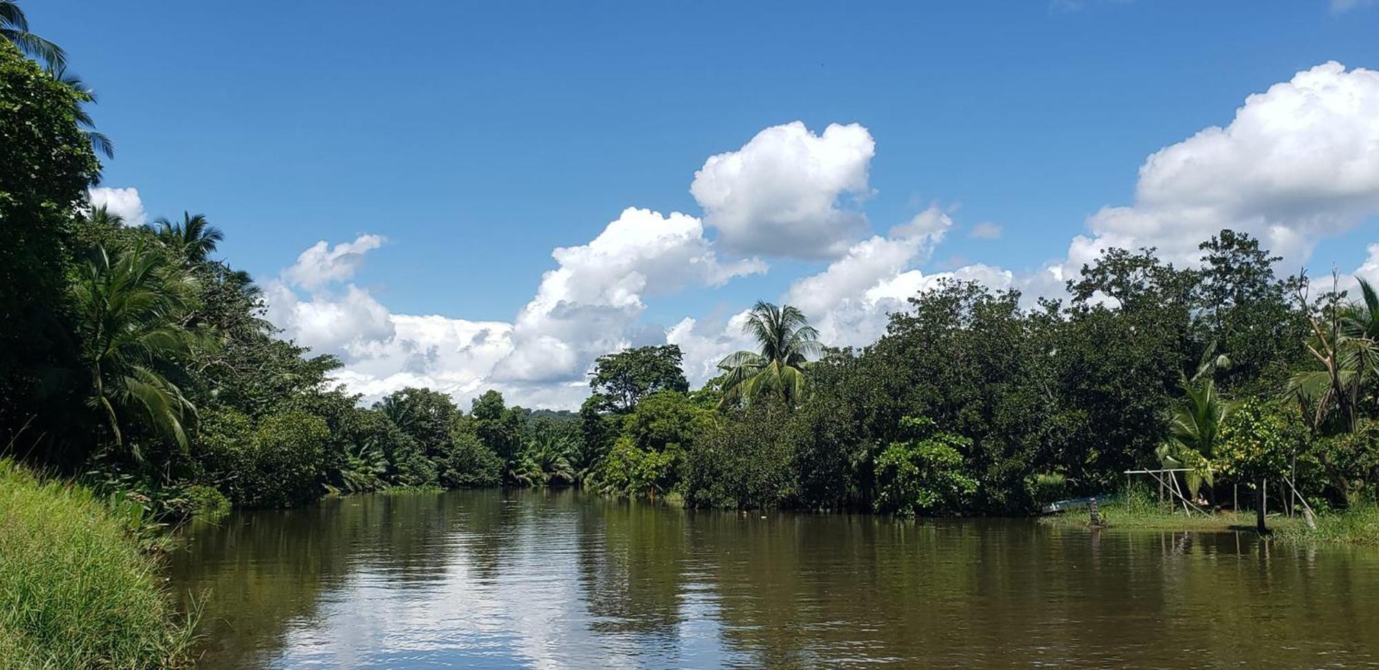Hotel Veragua River House Sierpe 外观 照片