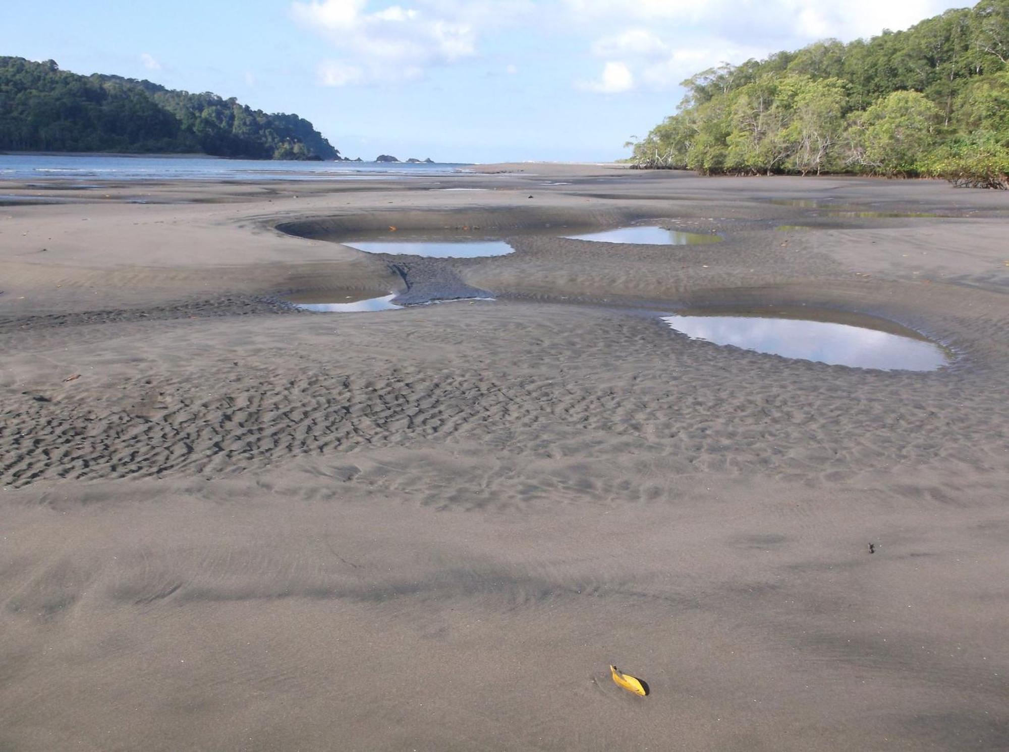 Hotel Veragua River House Sierpe 外观 照片