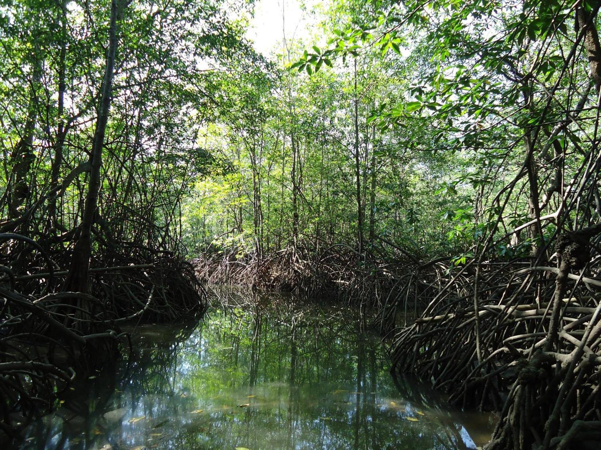 Hotel Veragua River House Sierpe 外观 照片