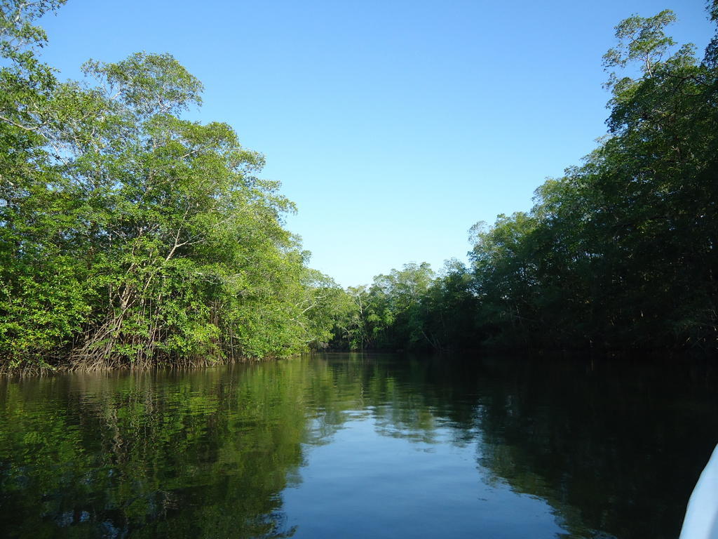 Hotel Veragua River House Sierpe 外观 照片