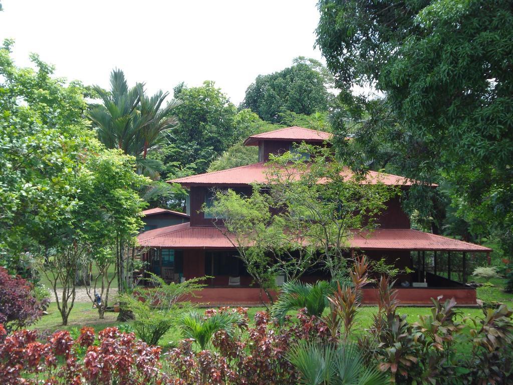 Hotel Veragua River House Sierpe 外观 照片